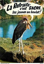 Carte Postale - Animaux -