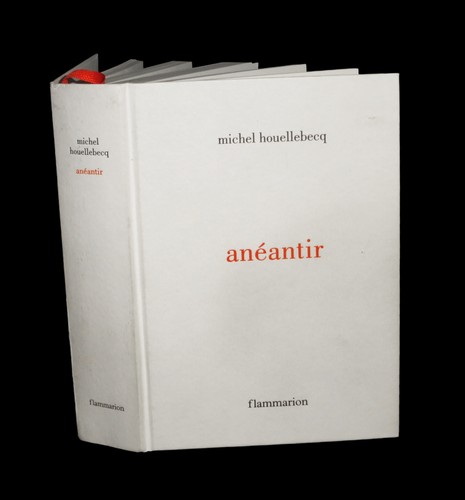 Houellebecq - houellebecq,