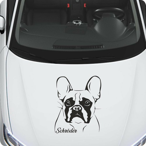 Bouledogue français - bouledogue,