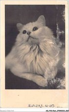 AILP10-0976 - CHAT - darling