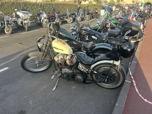Harley davidson chopper early - chopper,