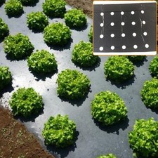 Membrane Film Perforé