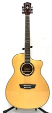Washburn Apprentice Electric