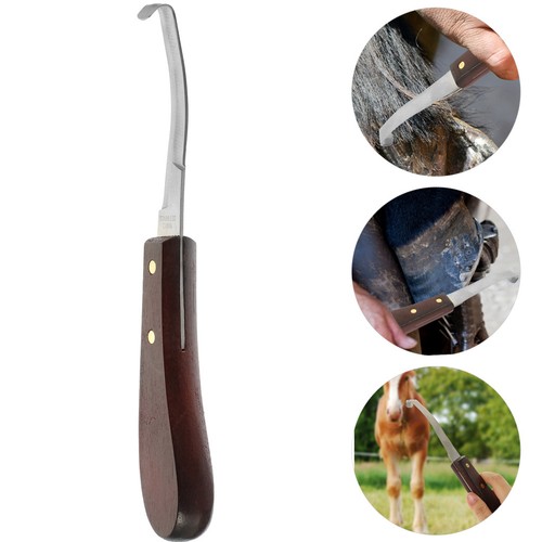 Sabot cheval fournitures - sabot,