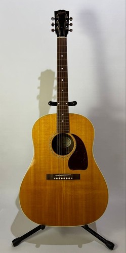Guitare électrique acoustique