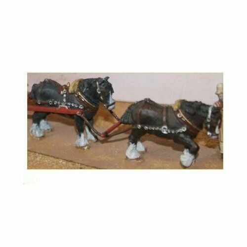 Chevaux shire avec harnais - chevaux,