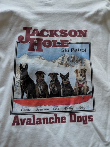 Jackson hole ski - jackson, patrol