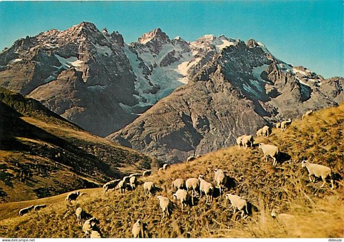 Carte postale hautes - carte, 05