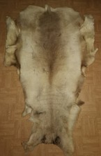 reindeer hideRenne  Peau tapis