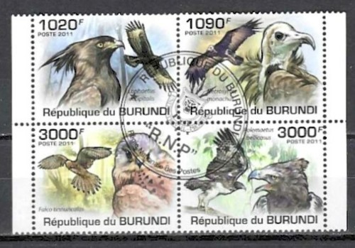 Animaux oiseaux rapaces 2011 - animaux,