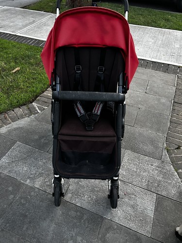 Bugaboo cameleon burgandy - bugaboo,