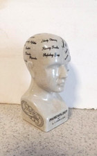 PHRENOLOGY HEAD  MEDICAL BUST