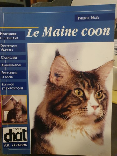 Maine coon philippe noel - le,