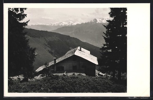 Carte postale pinzgauer - postale, haus