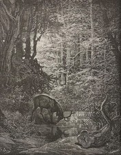 Le cerf se voyant dans l'étang Gustave Doré Xylographie Fable la Fontaine 1868
