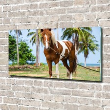 Tulup Image Sur Verre