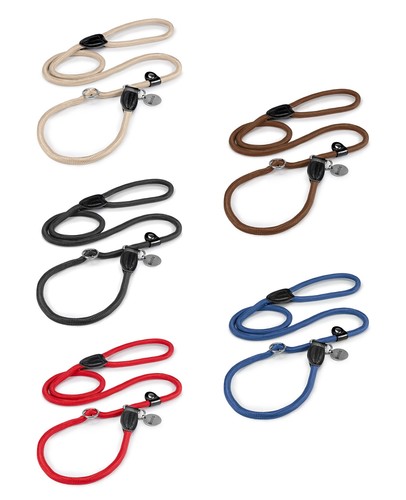 Lionto laisse retriever - retriever,
