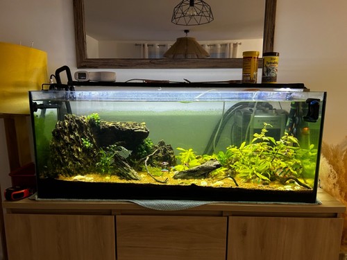 Aquarium 120l avec tout - aquarium, son