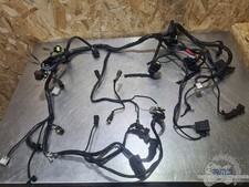 Faisceau électrique principal