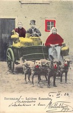 Belgique - BRUXELLES - Laitières flamandes - Voiture à chien