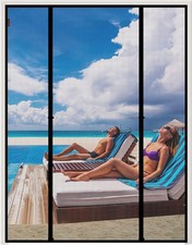 Moustiquaire magnétique de