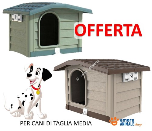 Caisse pour chiens taille - pour,