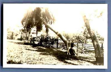 Hawaii, Honolulu, Girl Scout