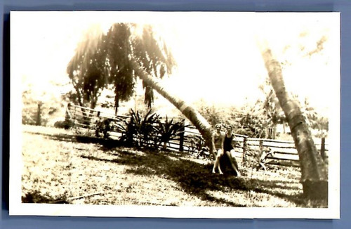 Hawaii honolulu girl scout - girl,