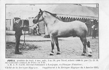 CPA 29 BRETAGNE HIPPIQUE JUELL