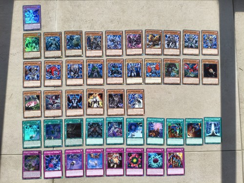 Deck monde - deck, "monde