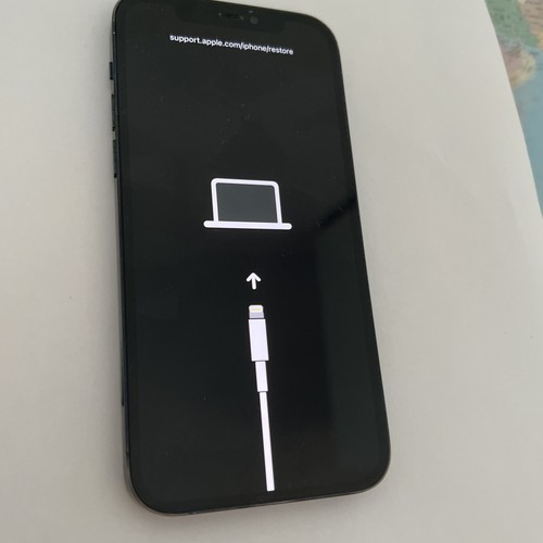 Iphone pro 256 - 12, bleu