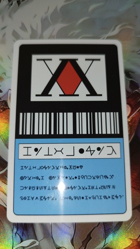 Carte licence hunter - hunter, x