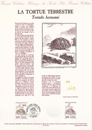 Document philatélique 1er - philatélique,