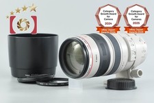 Canon EF 100-400mm f/4.5-5.6 L