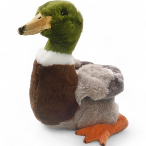 Carl dick canard colvert - dick,