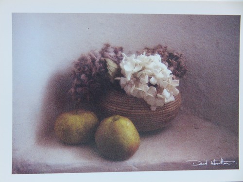 Carte postale david - ,
