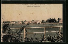 Old postcard Nérondes, Dépôt de Remonte, Annexe de Laverdines 