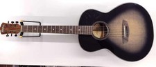 WASHBURN Acoustic BTS9CH