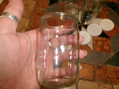 Lot pots pour yaourtiere - lot,
