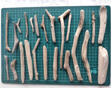 Bois flotté du Japon