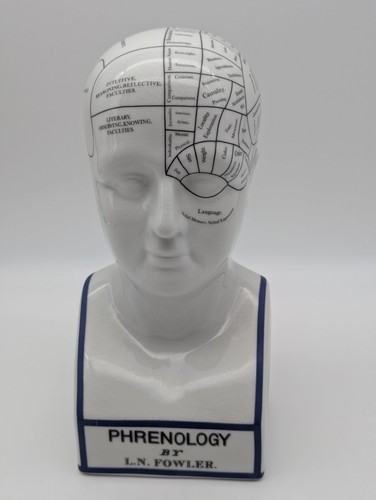 Phrenology ceramic bust - 12”,