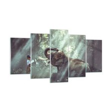 Impression sur Verre 160x85cm