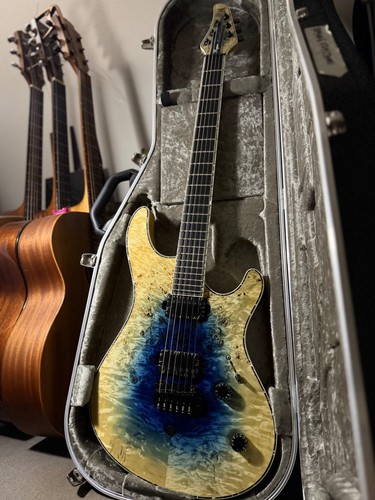 2017 mayones v24 regius - mayones,