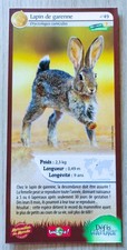 CARTE MERVEILLES DU MONDE - N° 49 LAPIN DE GARENNE - DÉFIS NATURE - BIOVIVA ! -