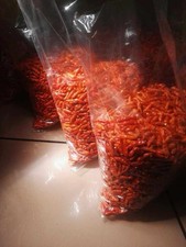 Piment Oiseau de Madagascar