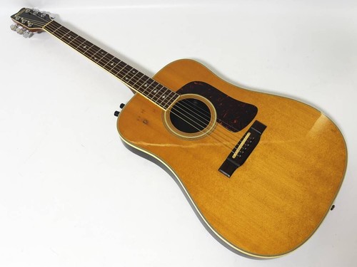 Guitare acoustique électrique