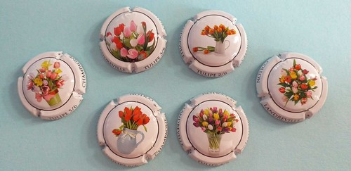 Collon tulipes 6 - ,
