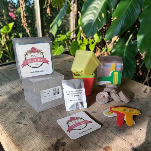 Kit culture crotalaria - kit,