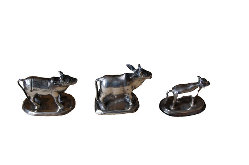 Petites vaches indiennes en - 3,