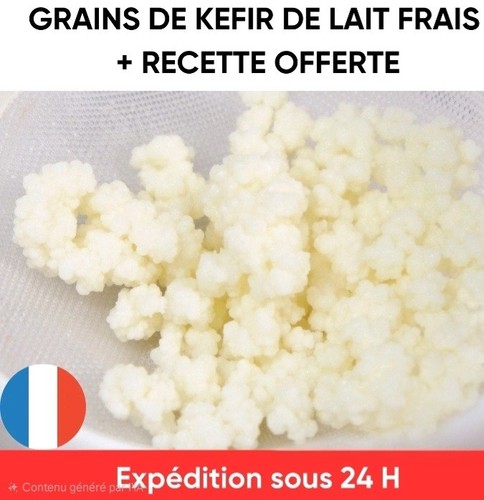 Grains kéfir de - de, lait